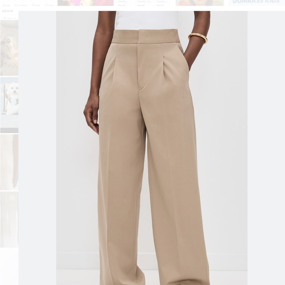 The Sei Baggy Pleat Trouser Pant in Tan